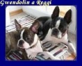 /album/fotogalerie-reggii/gwen-a-regginek-jpg/